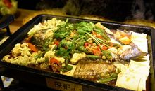 怎样成为一条鱼_800字