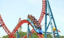 云霄飞车之冒险_1000字