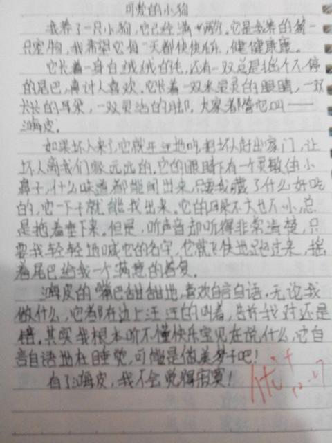 trust_300字