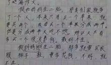单元作文：与众不同的妈妈_500字