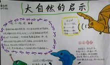 大自然的启示_300字