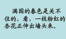 编写《宿新市徐公店》_200字