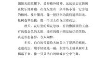 校园的一角_300字