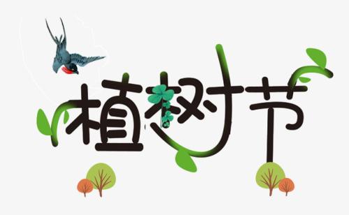 树种植_600字