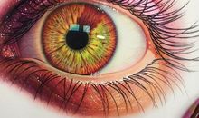 长篇故事——鼻子、眼睛、嘴巴和耳朵_1500字