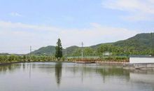 浦阳江畔踏春_400字