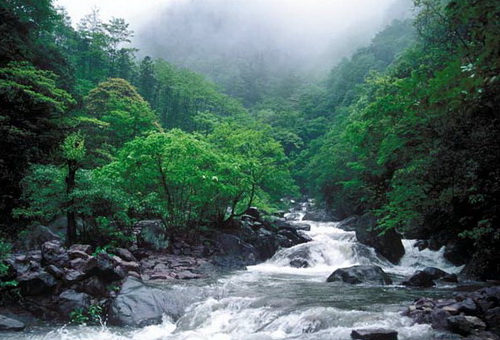 山谷春水_150字