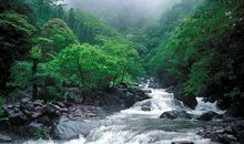 山谷里的泉水_150字