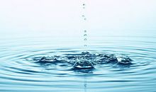 保护水资源_550字