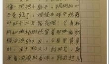 [PK赛]关于秋天的作文：秋_300字
