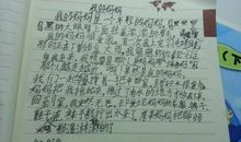 妈妈你在吗？我在你的身旁_250字