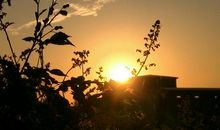 家乡的早晨_450字