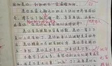 [PK赛]关于奋斗的作文：奋斗人生_800字