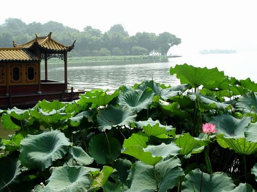 旅游西湖_500字