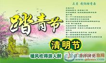 关于清明节的作文：清明见闻_700字