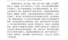 单元作文：六一联欢会_1000字