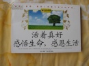 感觉生活，感恩的生活_800字