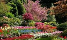 美丽的四季_300字