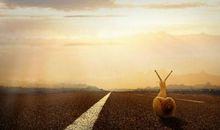 [PK赛]关于前行的作文：人生的前行之路_1000字