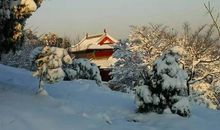 济南的冬天_500字