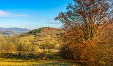 秋天的乡村_450字