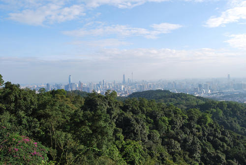 Youbai Yunshan _500字