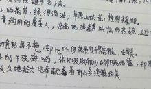 运动会_150字