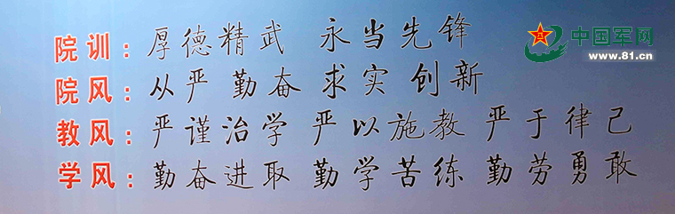 不，亲爱的老师_200字