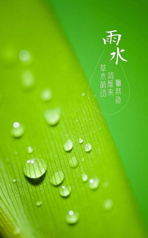 充满了充满希望的春雨_350字