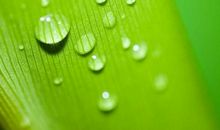 充满希望的春雨_350字