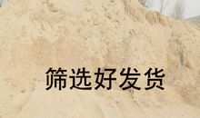 沙、沙、沙_550字