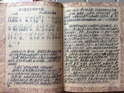 时间回来_100字