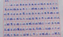 小小的书橱_200字