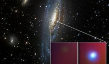 [超新星初中组]生命的支撑者_800字