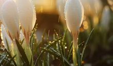 春雨滋润着大地_400字