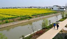 好似交响乐的春雨_400字