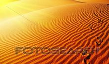 黑板上的脚印_1200字