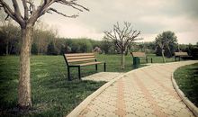 美丽的公园_550字