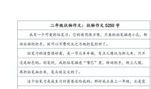 六年级状物作文：我最喜欢的玩具飞机_450字
