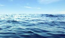 美丽的大海_250字