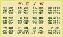 参观_450字