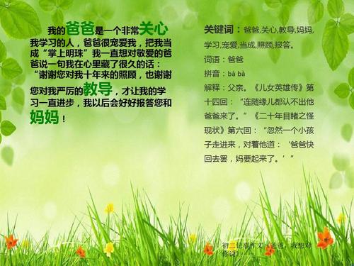爸爸，我想对你说_450字