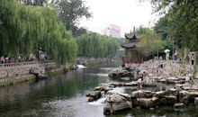 美丽的泉城我的家_500字