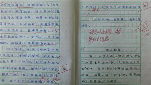 三年级写道：我想我学历_200字