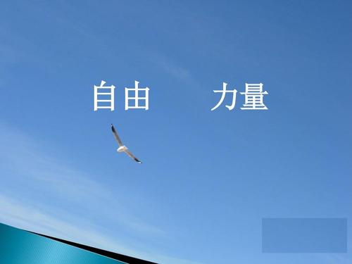 在那个初中，没有太多的快乐和悲伤。