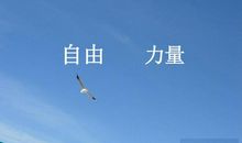 [超新星初中组]“自由”飞翔_1200字