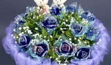 [超新星初中组]两种花_800字