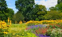 单元作文：美丽的花圃_600字