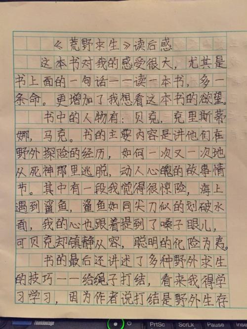 单位成分：批评收获_500字