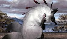 [超新星初中组]和谐相处，共创美好明天_1000字